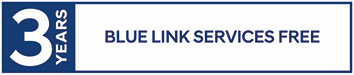 BLUE%20LINK%20SERVICES%20FREE_logo.jpg